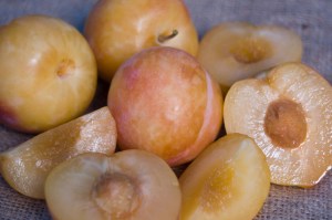 Splash Pluot